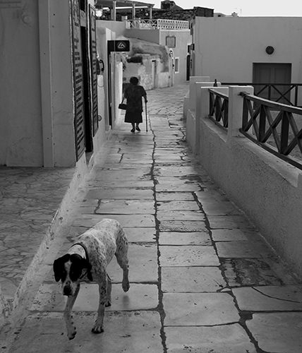 Genius Loci #20 by Jeremy Chin - Dog and Old Woman, Walk, Santorini, Greece