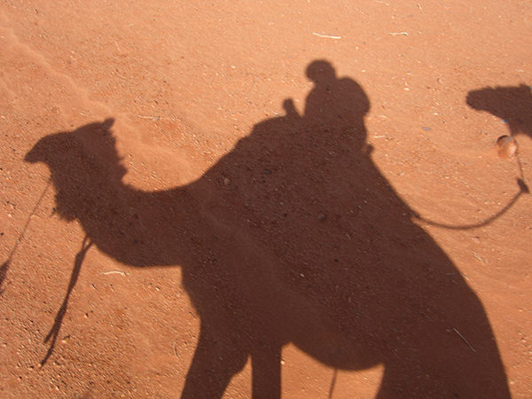 Just Jezza #6 by Jeremy Chin - Riding Camel in Wadi Rum Desert, Istanbul, Turkey