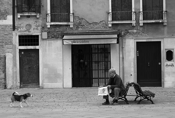 Quiet Times #31 by Jeremy Chin - Old Man Reading Newspaper on a Bench,  Venice, Italy
