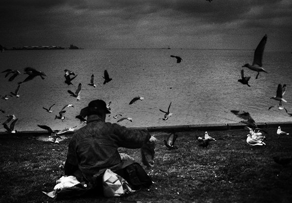 Quiet Times #48 by Jeremy Chin - Man Feeds The Birds By The Lake, Vancouver Canada