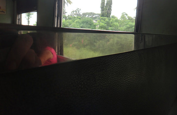 Sophie #18 by Jeremy Chin - Asleep on the Train From Kanchanaburi