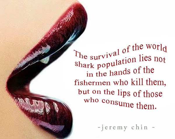 Jeremy Chin #62: The survival of the world shark population lies not in the hands of the fishermen who kill them, but on the lips of those who consume them.